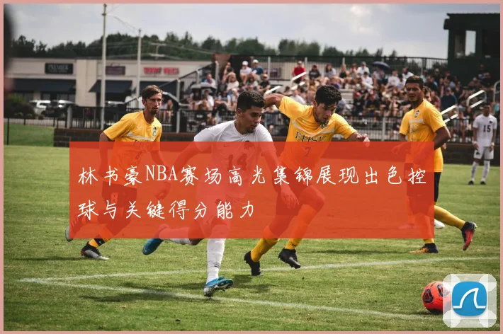 林书豪NBA赛场高光集锦展现出色控球与关键得分能力