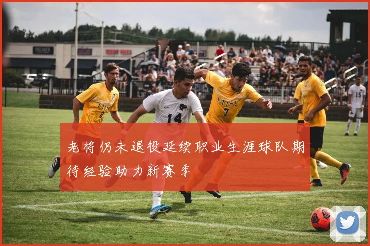 老将仍未退役延续职业生涯球队期待经验助力新赛季