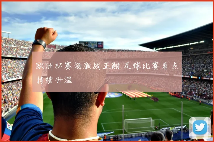 欧洲杯赛场激战正酣 足球比赛看点持续升温