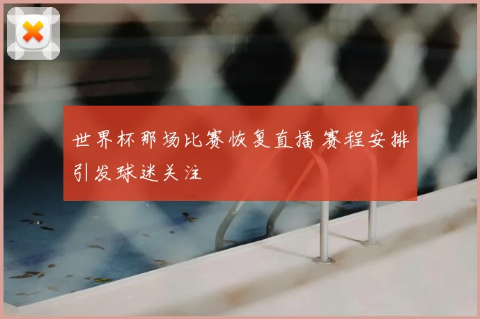 世界杯那场比赛恢复直播 赛程安排引发球迷关注