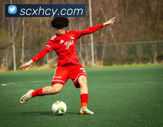 环球体育平台官网APP 封面图